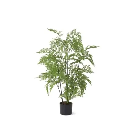 3′ Black Potted Fern Tree