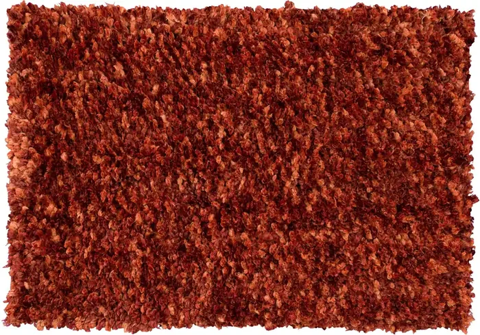 Addison Rugs AAL31 Alpha Tufted Shag Paprika Area Rugs