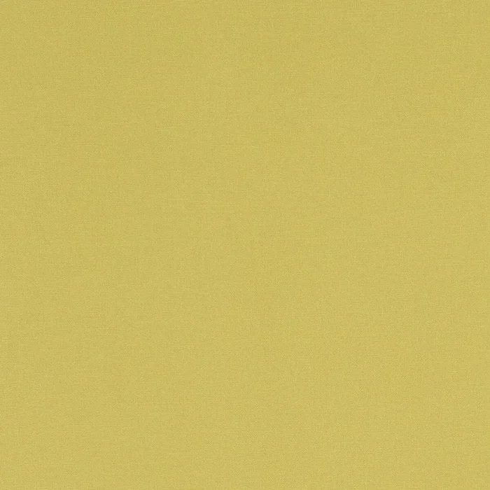 Alora – Celery
