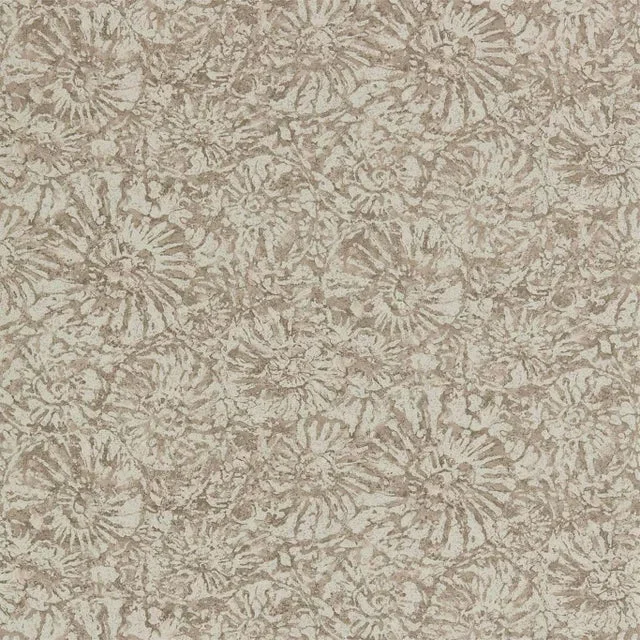 Harlequin Ammonite Wallpaper in Shell – a Sample