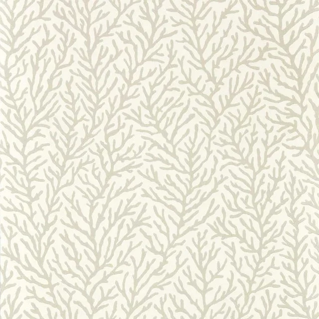 Harlequin Atoll Wallpaper in Awakening/Diffused Light