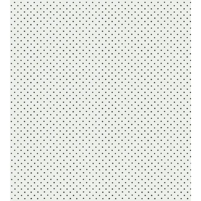 Hinson for The House of Scalamandré Lee Wallcovering, Black on White