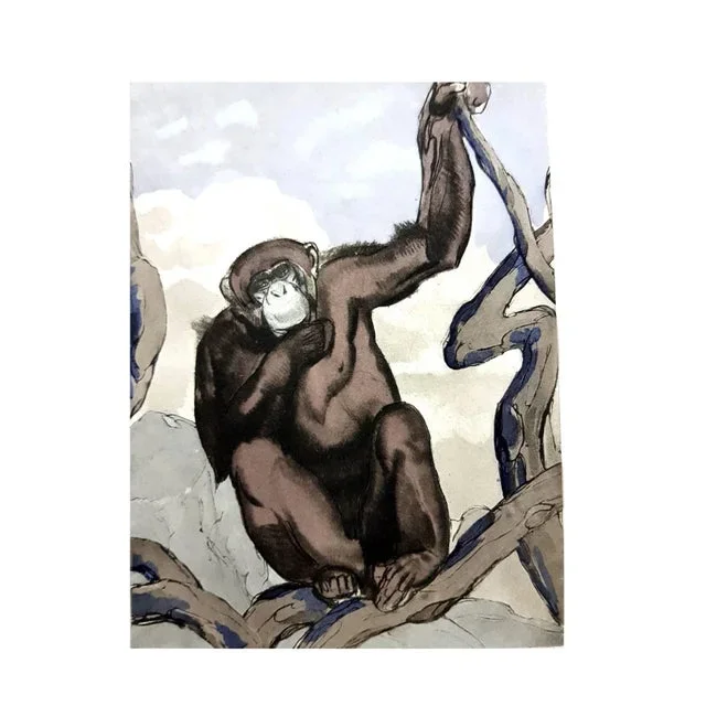 Paul Jouve – Chimpanzee – Original Engraving 1950