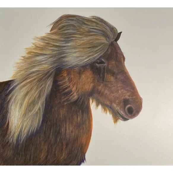Pony Girl Watercolor Pencil Sketch