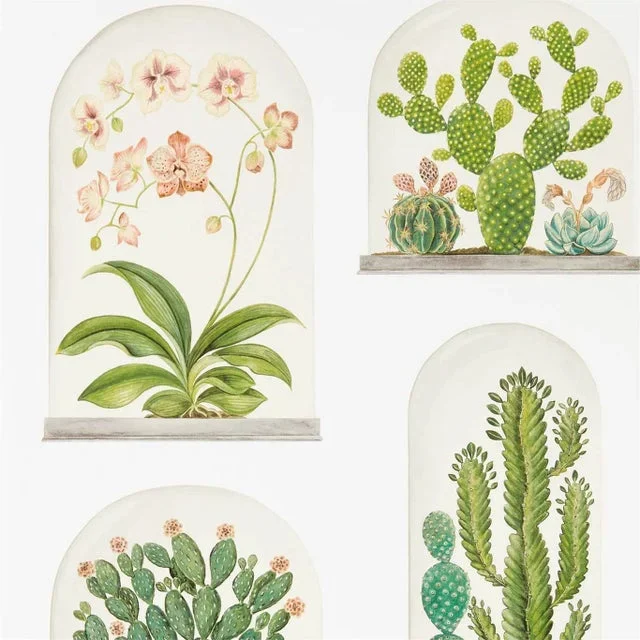 Sanderson Terrariums Wallpaper in Chalk/Green – a Sample