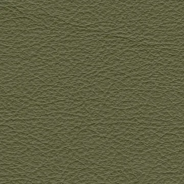 Sierra, 0441