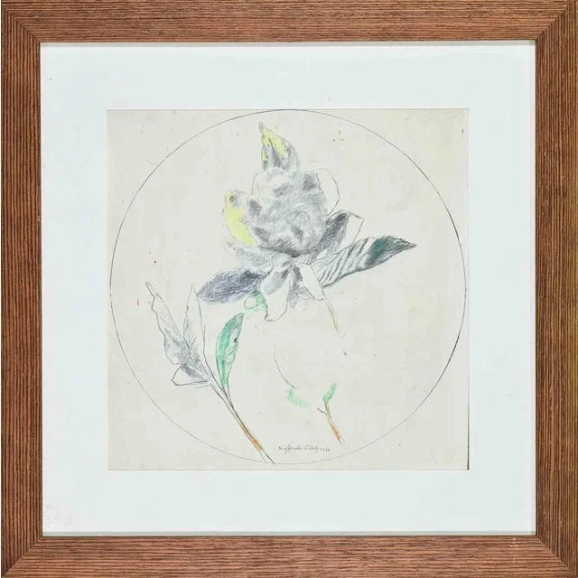 Sigfrido Oliva, Still Life, Pencil and Watercolor, 1978, Framed