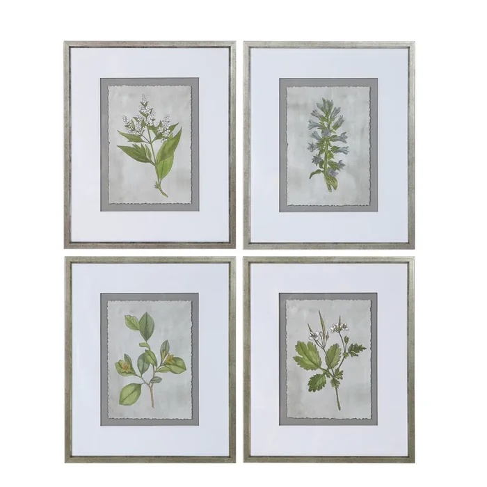 Uttermost Stem Study Framed Prints Set/4
