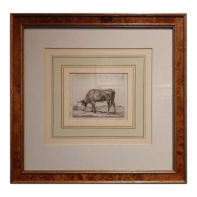 Van Troostwijk, Grazing Cow, 1810, Paper, Framed