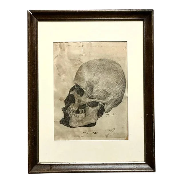 Vintage Boho Original Pencil Sketch of Skull