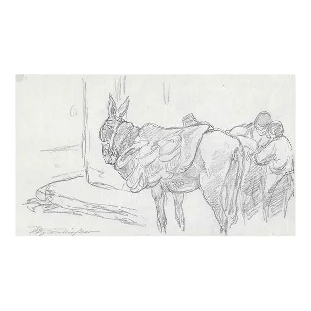 Walter Shirlaw Drawing of Donkey on Madrid Street