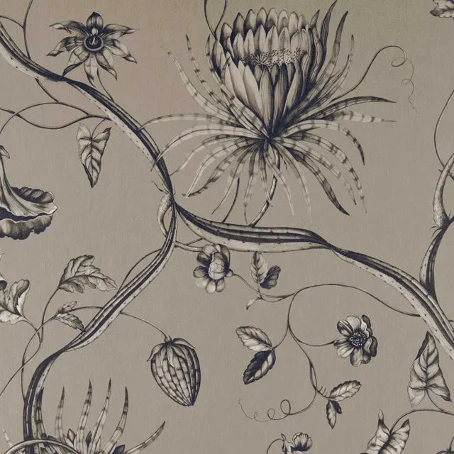 Zoffany Phaedra Fabric in Phaedra Antique Bronze – a Sample